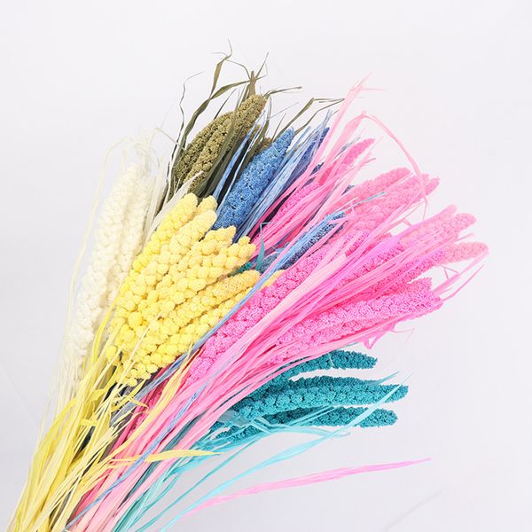 10 pcs natural wheat dry grass bouquet bundle preserved millet flower diy flower wedding party decoration home decoration
10 pcs natural wheat dry grass bouquet bundle preserved millet flower diy flower wedding party decoration home decoration