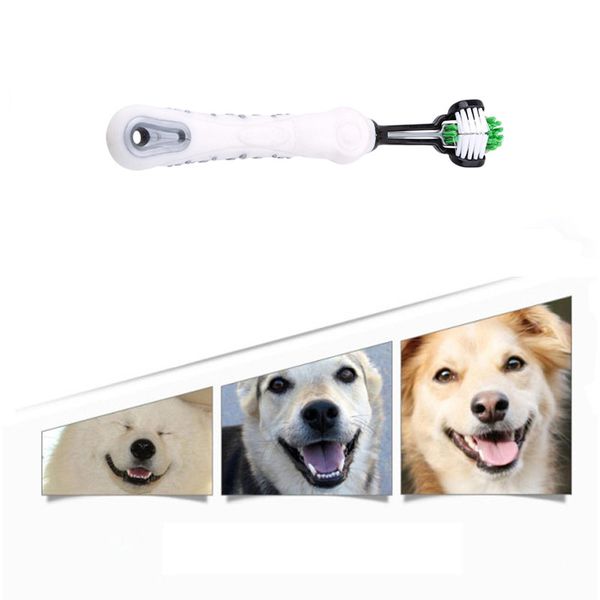 new pet toothbrush grooming tool chihuahua dog brush addition bad breath tartar teeth care dog cat cleaning mouth drop ship shop
new pet toothbrush grooming tool chihuahua dog brush addition bad breath tartar teeth care dog cat cleaning mouth drop ship shop