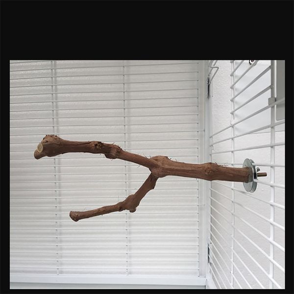 pet parrot bird standing stick wild grape wood pole bird cockatiel parakeet perches bite claw grinding toy bird cage accessories
pet parrot bird standing stick wild grape wood pole bird cockatiel parakeet perches bite claw grinding toy bird cage accessories