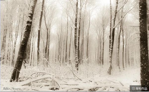 3d landscape wallpaper european and american modern wind black and white forest landscape tv background wall
3d landscape wallpaper european and american modern wind black and white forest landscape tv background wall
