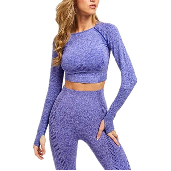 2 pcs/set seamless women sport suit gym workout clothes long sleeve fitness crop and scrunch buleggings yoga se, White;red
2 pcs/set seamless women sport suit gym workout clothes long sleeve fitness crop and scrunch buleggings yoga se, White;red