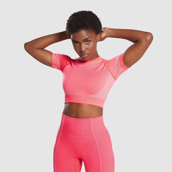 yoga outfits 2 picec seamless knitted buttocks suit gym set t-shirt+ shorts sports fitness female, White;red
yoga outfits 2 picec seamless knitted buttocks suit gym set t-shirt+ shorts sports fitness female, White;red