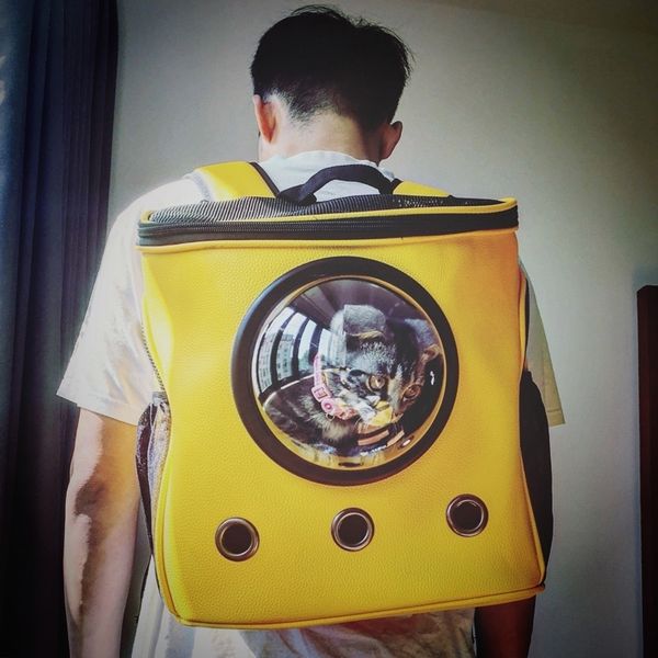 dog backpack transparent space shoulder bag pet outside travel portable carry backpack kandang kucing backpacks
dog backpack transparent space shoulder bag pet outside travel portable carry backpack kandang kucing backpacks