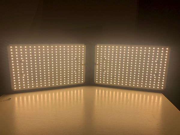 diy 240w samsung lm301b top bin mix 660nm full spectrum quantum board red светать qb288 quantum board lm301b с meanwell driver
diy 240w samsung lm301b top bin mix 660nm full spectrum quantum board red светать qb288 quantum board lm301b с meanwell driver