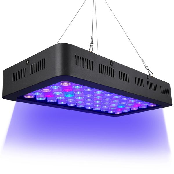 сша фото аквариума сид 165w полный спектр диммируемый для рыбы танк коралловых рифов роста в пресной и морской воде с белым синий 
сша фото аквариума сид 165w полный спектр диммируемый для рыбы танк коралловых рифов роста в пресной и морской воде с белым синий