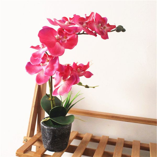 simulation flower phalaenopsis bonsai creative fashion home decoration artificial fake flower simulation plant
simulation flower phalaenopsis bonsai creative fashion home decoration artificial fake flower simulation plant