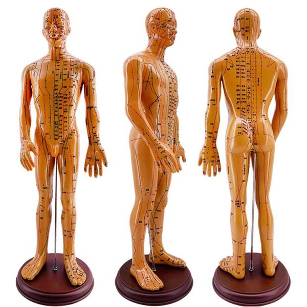 60cm male lettering acupuncture point body mannequin jewelry acupuncture, medical research massage reflex zone teaching model c518, Khaki
60cm male lettering acupuncture point body mannequin jewelry acupuncture, medical research massage reflex zone teaching model c518, Khaki