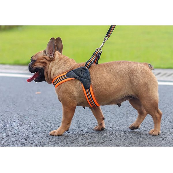 pet собак нейлоновая сетка светоотражающие harness летние дышащий воротник аксессуары для собак puppy outdoor walking cat puppy chest belt
pet собак нейлоновая сетка светоотражающие harness летние дышащий воротник аксессуары для собак puppy outdoor walking cat puppy chest belt