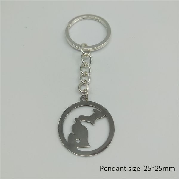 stylish and simple creative michigan pendant stainless steel american map keychain jewelry gifts, Silver
stylish and simple creative michigan pendant stainless steel american map keychain jewelry gifts, Silver