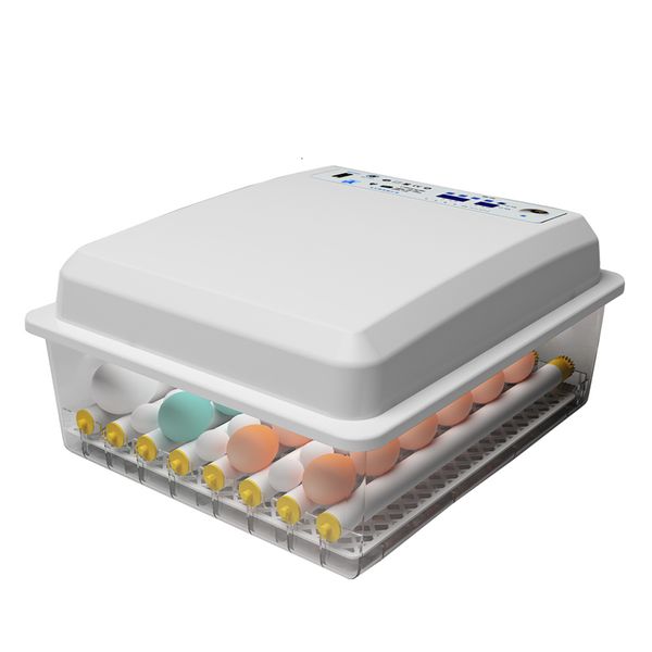 intelligent thermostat for incubator automatic egg china one-button incubation of chicken incubadora couveuse 12v220v pet supplies
intelligent thermostat for incubator automatic egg china one-button incubation of chicken incubadora couveuse 12v220v pet supplies