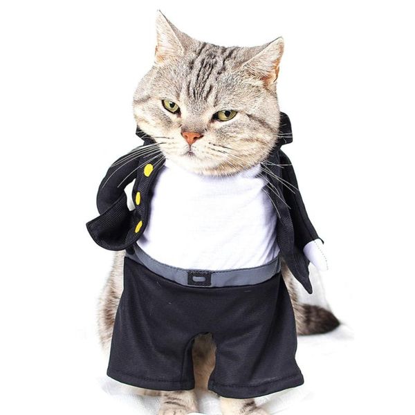 funny cats clothes cosplay for dog costume pets products animal clothes kitten ubranka dla kota vetement pour chat
funny cats clothes cosplay for dog costume pets products animal clothes kitten ubranka dla kota vetement pour chat