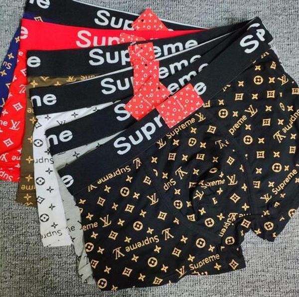 a7 2020 designers brand mens boxer men underpants brief for man underpanties underwear mens boxers cotton underwears shorts male sn8z, Black;white
a7 2020 designers brand mens boxer men underpants brief for man underpanties underwear mens boxers cotton underwears shorts male sn8z, Black;white