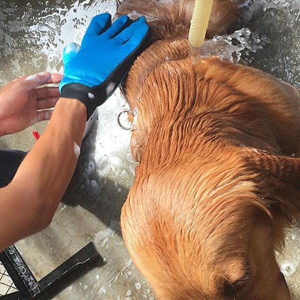 кремний перчатки для кошек стрижка собак собак pet волос deshedding кисти comb перчатки для собак pet finger очистки массаж перчатки для дом
кремний перчатки для кошек стрижка собак собак pet волос deshedding кисти comb перчатки для собак pet finger очистки массаж перчатки для дом