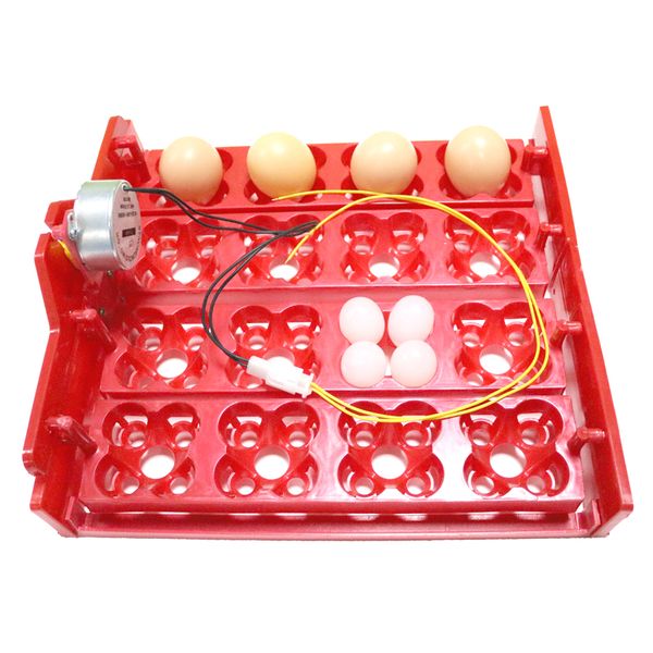 16 куриные яйца 64 перепелиные яйца parrot икры инкубатор tray приложенное напряжение 110v / 220v / 12v инкубатор аксессуары
16 куриные яйца 64 перепелиные яйца parrot икры инкубатор tray приложенное напряжение 110v / 220v / 12v инкубатор аксессуары