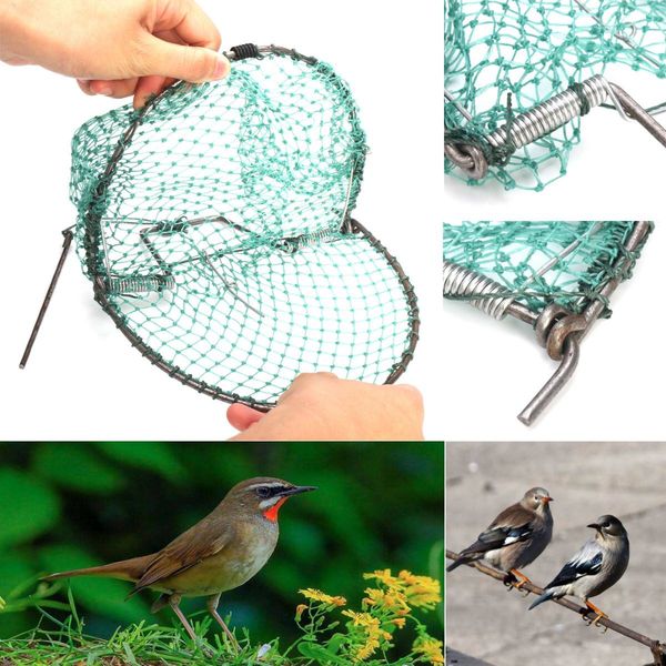 heavy duty bird net effective humane live trap hunting sensitive quail humane trapping hunting 20cm garden supplies pest control
heavy duty bird net effective humane live trap hunting sensitive quail humane trapping hunting 20cm garden supplies pest control