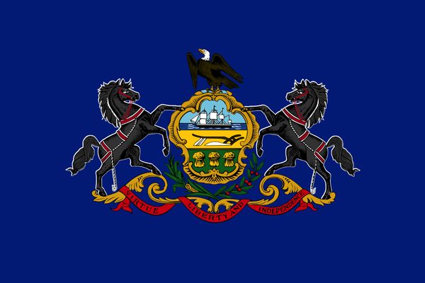 drop shipping american pennsylvania copy state flag 3x5ft usa polyester flag banner white sleeve and two grommets
drop shipping american pennsylvania copy state flag 3x5ft usa polyester flag banner white sleeve and two grommets