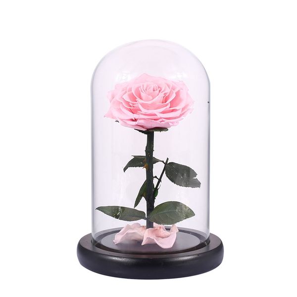 glass cover fresh preserved rose flower barbed rose flores for wedding marriage home party decoration valentine's day gift pink
glass cover fresh preserved rose flower barbed rose flores for wedding marriage home party decoration valentine's day gift pink