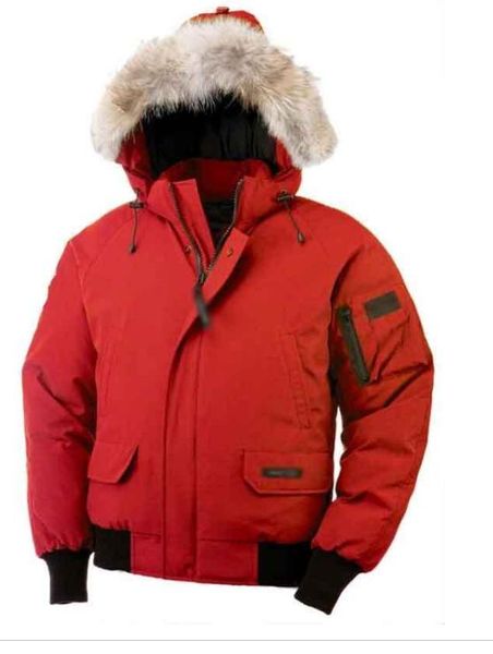 прямая поставка новые женщины канадский открытый пуховики парки женские гусиные 
прямая поставка новые женщины канадский открытый пуховики парки женские гусиные