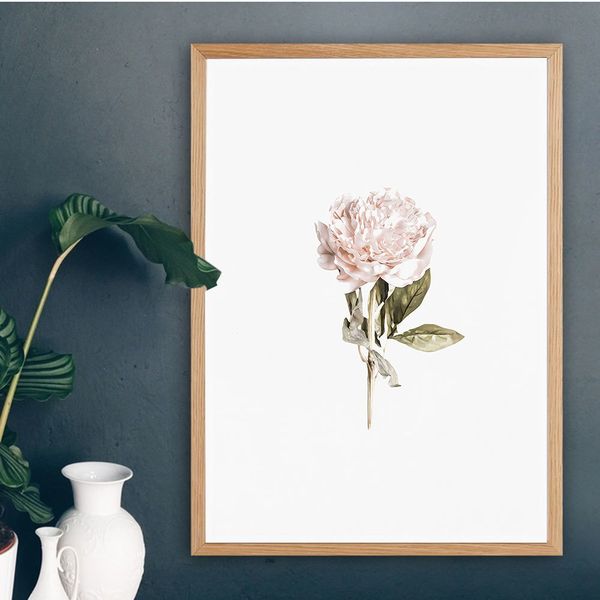 pale peony poster flower canvas painting nordic wall art print fashion modern picture for living room on the wall home decor
pale peony poster flower canvas painting nordic wall art print fashion modern picture for living room on the wall home decor