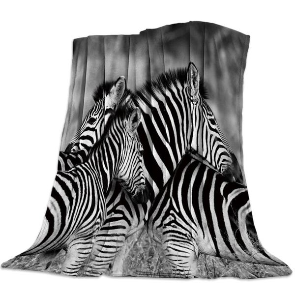 animals zebra black and white stripes flannel fleece bed blanket bedspread coverlet bed cover soft lightweight warm blankets
animals zebra black and white stripes flannel fleece bed blanket bedspread coverlet bed cover soft lightweight warm blankets