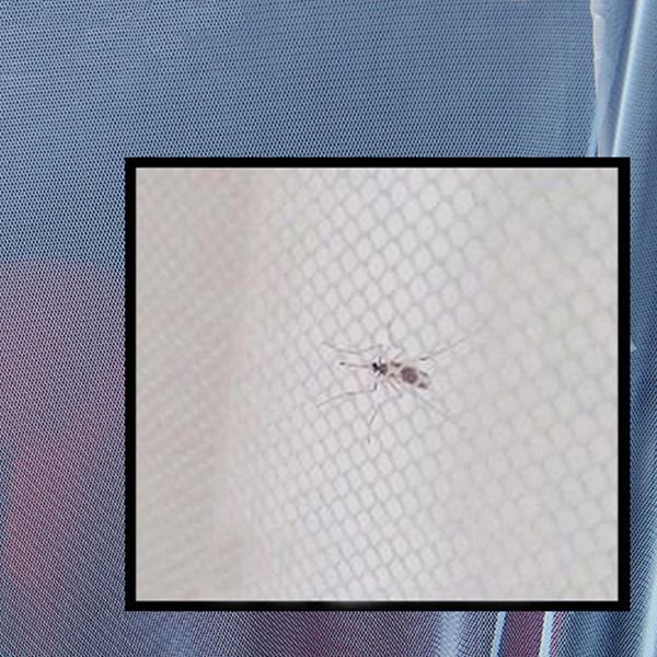 1 pc full outdoor baby infant kids stroller pushchair mosquito insect net mesh buggy cover baby mosquito net
1 pc full outdoor baby infant kids stroller pushchair mosquito insect net mesh buggy cover baby mosquito net