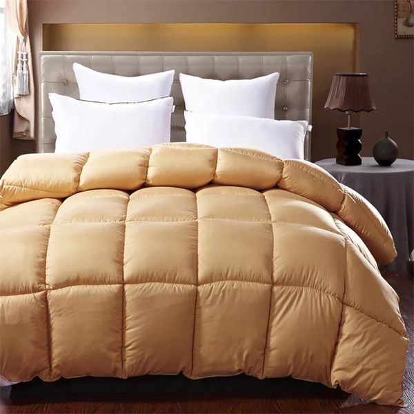 feather velvet winter quilt core thickened blanket home spring autumn bed comforter king/queen/twin/full size
feather velvet winter quilt core thickened blanket home spring autumn bed comforter king/queen/twin/full size