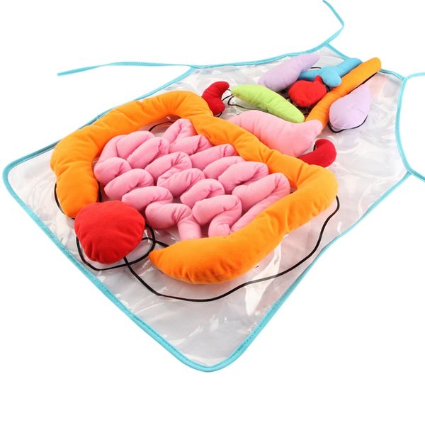 3D Organ Apron Anatomy Apron Human Body Organs Awareness Educational Toy for Home Preschool Teaching Tool
3D Organ Apron Anatomy Apron Human Body Organs Awareness Educational Toy for Home Preschool Teaching Tool