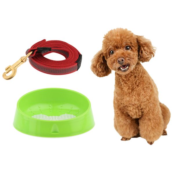прочный нейлоновый канат собака щенок обучение pet поводок с зажимом для воротник жгутов, 200см + cat dog bowl
прочный нейлоновый канат собака щенок обучение pet поводок с зажимом для воротник жгутов, 200см + cat dog bowl