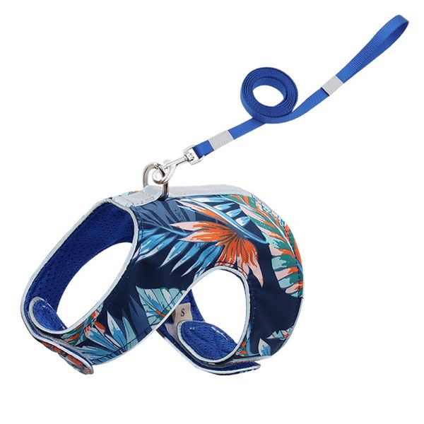 dog harness and leash set breathable reflective anti-strike chest strap traction walking lead leash for small medium dog cat pet
dog harness and leash set breathable reflective anti-strike chest strap traction walking lead leash for small medium dog cat pet