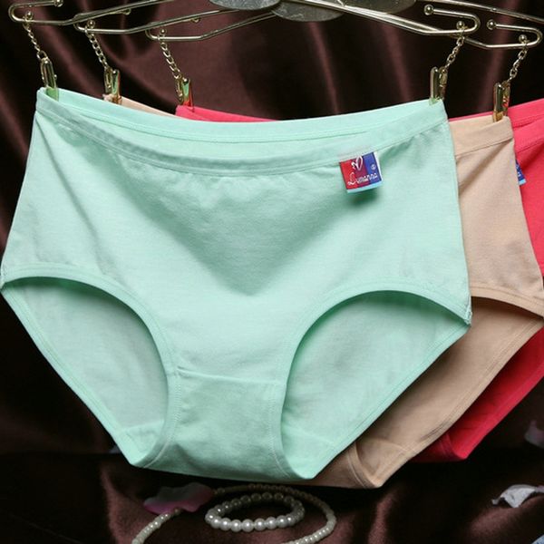 u3g8k 4886 women's cotton underwear candyshorts candyunderwear candy solid color beauty fashion simple women's cotton breifs elega, Black;white
u3g8k 4886 women's cotton underwear candyshorts candyunderwear candy solid color beauty fashion simple women's cotton breifs elega, Black;white