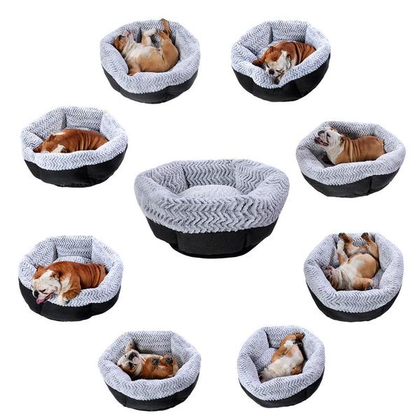 cat bed house round long plush super soft pet dog bed winter warm sleeping bag puppy for dogs nest products cat mat
cat bed house round long plush super soft pet dog bed winter warm sleeping bag puppy for dogs nest products cat mat
