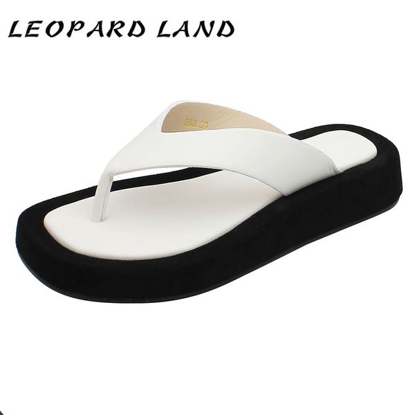 leopard land 2020 women's comfortable slippers female clip feet bottom flip flops bottom open toe beach shoes tws-888, Black
leopard land 2020 women's comfortable slippers female clip feet bottom flip flops bottom open toe beach shoes tws-888, Black