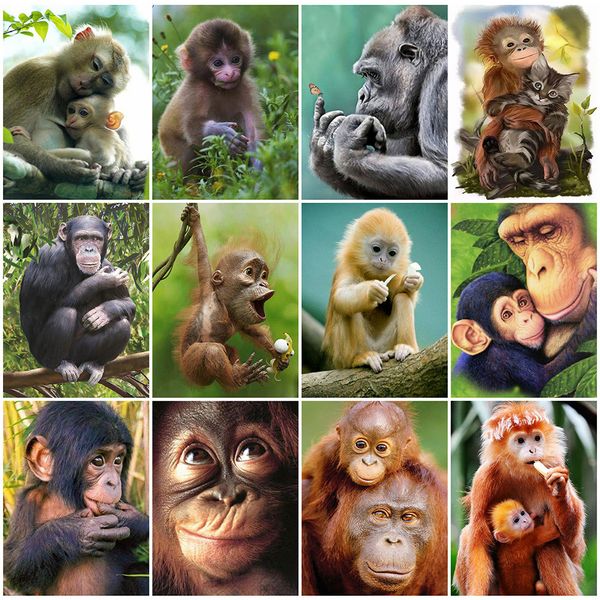 huacan full square diamond painting 5d monkey home decor diy diamond art embroidery animal mosaic handmade
huacan full square diamond painting 5d monkey home decor diy diamond art embroidery animal mosaic handmade