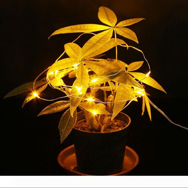 2m 20leds led string cr2032 battery operated micro mini light copper silver wire starry led strips for festival and holiday decoration
2m 20leds led string cr2032 battery operated micro mini light copper silver wire starry led strips for festival and holiday decoration