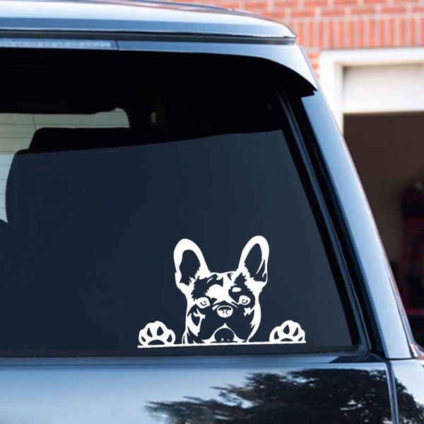 Cheap Stickers Sticker Paws up French Bulldog Frenchie Bully Dog Decoration Vinyl Car Decal Reflective Laser 3D Car Stickers
Cheap Stickers Sticker Paws up French Bulldog Frenchie Bully Dog Decoration Vinyl Car Decal Reflective Laser 3D Car Stickers