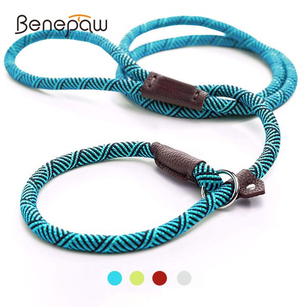 benepaw durable slip rope dog leash collar 2 in 1 adjustable loop collar comfortable small meidum large pet harness leash
benepaw durable slip rope dog leash collar 2 in 1 adjustable loop collar comfortable small meidum large pet harness leash