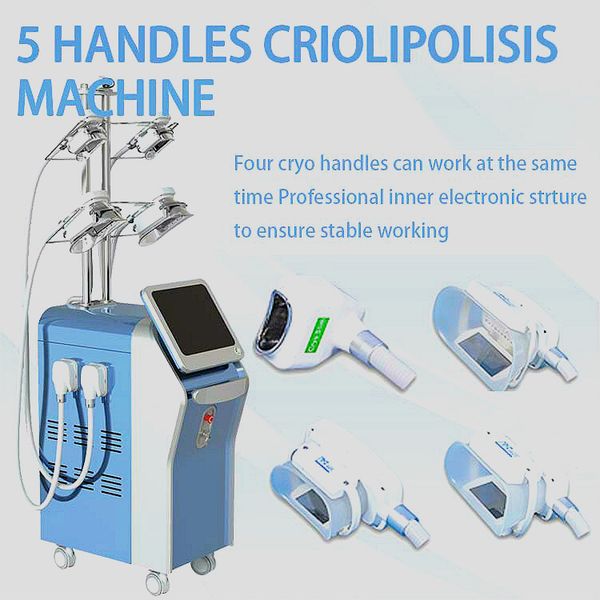 новый дизайн 360 ° mini fat замораживание cryolipolysis жира замораживания машина cryolipolysis машина для похудения 5 крио ручки
новый дизайн 360 ° mini fat замораживание cryolipolysis жира замораживания машина cryolipolysis машина для похудения 5 крио ручки