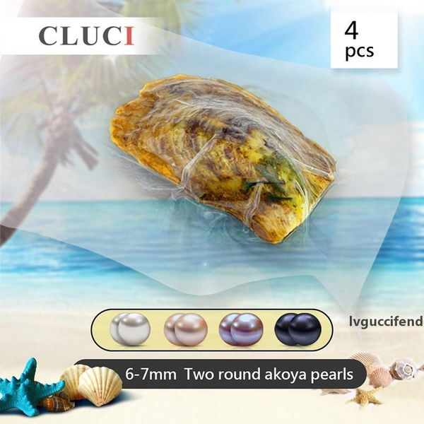 cluci 4pcs oyster with genuine assorted color pearl bead 6-7mm cultured round twins akoya pearls in oysters t200507
cluci 4pcs oyster with genuine assorted color pearl bead 6-7mm cultured round twins akoya pearls in oysters t200507
