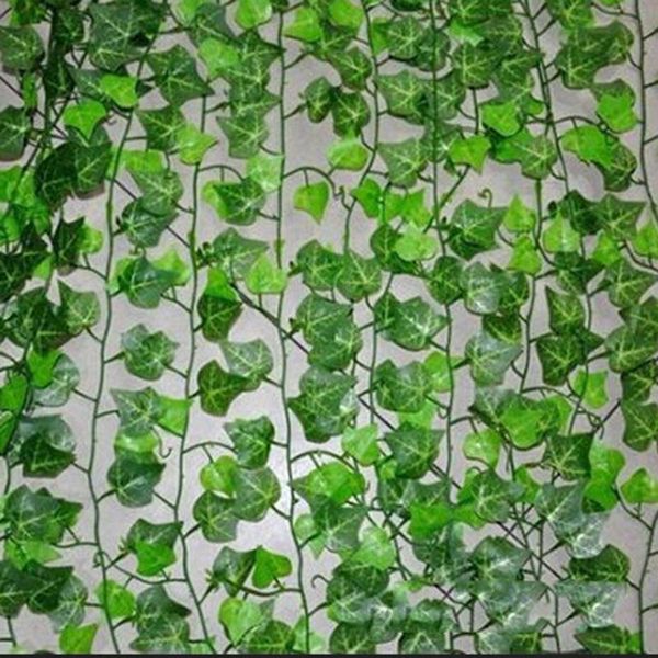 1pcs 2,ой home decor искусственных ivy leaf garland растения vine поддельной листва цветы creeper green ivy венок
1pcs 2,ой home decor искусственных ivy leaf garland растения vine поддельной листва цветы creeper green ivy венок