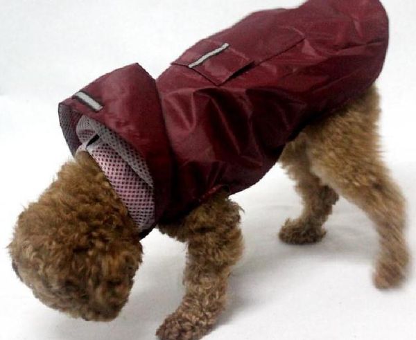 wholesale hight quality pet reflective big dog raincoat with poncho super waterproof hooded size dog clothing s-6xl size 4 colors
wholesale hight quality pet reflective big dog raincoat with poncho super waterproof hooded size dog clothing s-6xl size 4 colors