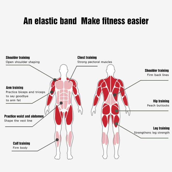 exercise belt 208cm pull loop fit simplify latex carry bag physical workout bands pilates flexbands training therapy strength
exercise belt 208cm pull loop fit simplify latex carry bag physical workout bands pilates flexbands training therapy strength