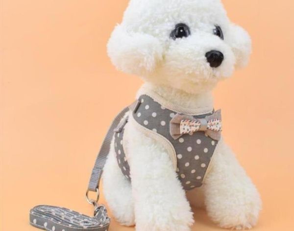new style breathable mesh cloth chest strap for small dogs cat leash pet vest type adjustable leash pet supplies ing
new style breathable mesh cloth chest strap for small dogs cat leash pet vest type adjustable leash pet supplies ing