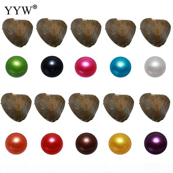 10pcs lot akoya cultured sea pearl multicolor oyster beads new arrival birthday jewelry women gifts j190702, Silver
10pcs lot akoya cultured sea pearl multicolor oyster beads new arrival birthday jewelry women gifts j190702, Silver