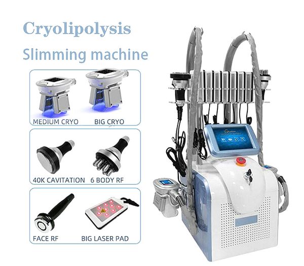 cryo lipolysis slimming machine double cryo handles cavitation rf lipo laser fat e slimming machine cryolipolysis + rf+ laser + 40k
cryo lipolysis slimming machine double cryo handles cavitation rf lipo laser fat e slimming machine cryolipolysis + rf+ laser + 40k