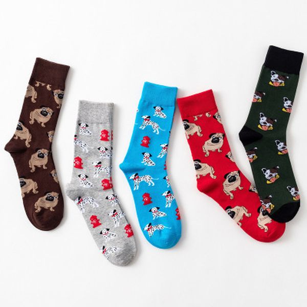 new men's socks colorful autumn dog sock in tube casual cotton socks comfortable elastic soft on sale, Black
new men's socks colorful autumn dog sock in tube casual cotton socks comfortable elastic soft on sale, Black