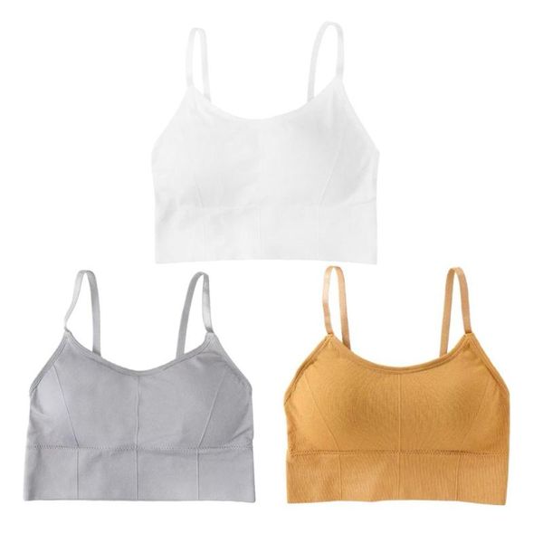 3pcs breathable sports bras seamless bras high impact stretchy fitness underwear for yoga gym workout fitness (average size, whi, White;black 
3pcs breathable sports bras seamless bras high impact stretchy fitness underwear for yoga gym workout fitness (average size, whi, White;black