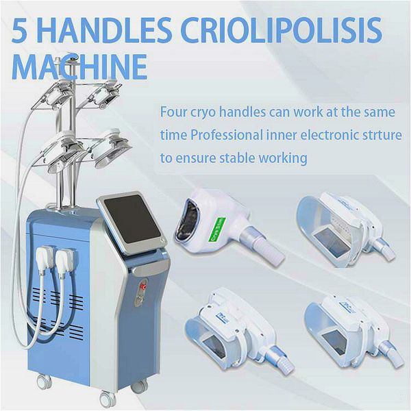 360° cooling 5 cryo handles cryo lipolysis cryolipolyse machine fat e cryolipolysis equipment with double chin handle
360° cooling 5 cryo handles cryo lipolysis cryolipolyse machine fat e cryolipolysis equipment with double chin handle