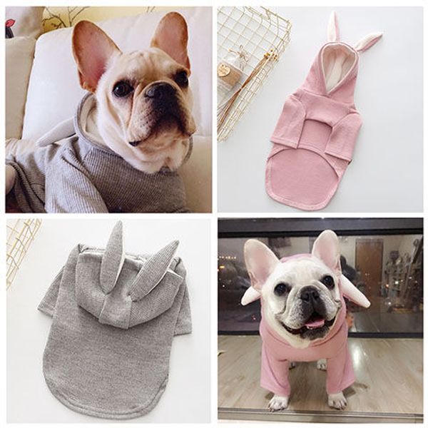 pet clothes teddy autumn and winter rabbit sweater fadou pug bulldog fadou small and medium dogs dog sweater
pet clothes teddy autumn and winter rabbit sweater fadou pug bulldog fadou small and medium dogs dog sweater