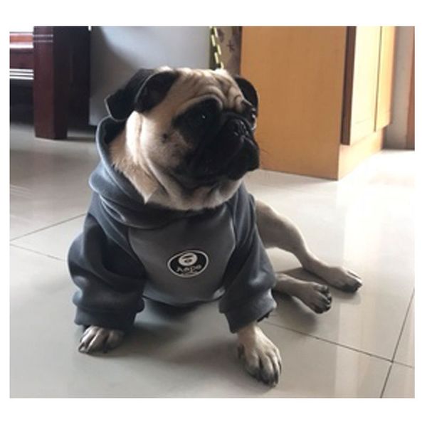 short fat dog clothes fadou clothes teddy bear bago chenery small and medium dog pet autumn and winter clothes sweater
short fat dog clothes fadou clothes teddy bear bago chenery small and medium dog pet autumn and winter clothes sweater
