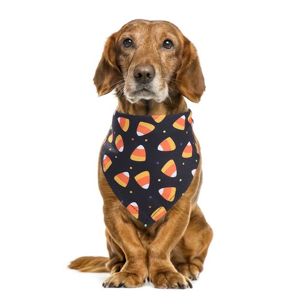 2020 halloween pet neck accessories festival lovely pet triangle scarf pet dog cat scarf collar
2020 halloween pet neck accessories festival lovely pet triangle scarf pet dog cat scarf collar